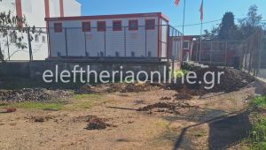 apodythria gargalianwn 3